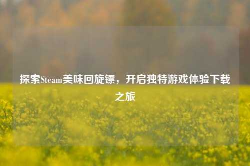 探索Steam美味回旋镖,开启独特游戏体验下载之旅