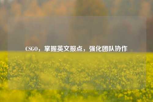 CSGO,掌握英文报点,强化团队协作