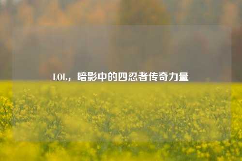 LOL,暗影中的四忍者传奇力量