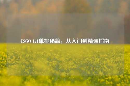 CSGO 1v1单挑秘籍,从入门到精通指南