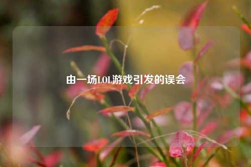 由一场LOL游戏引发的误会
