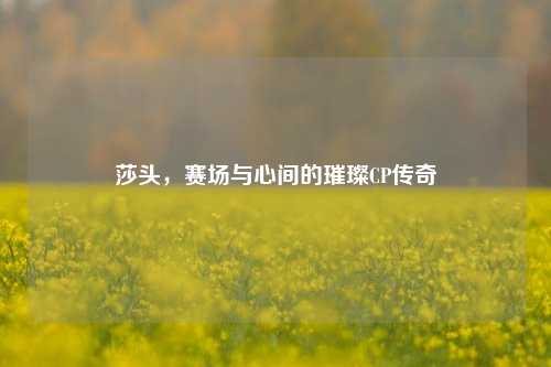 莎头,赛场与心间的璀璨CP传奇