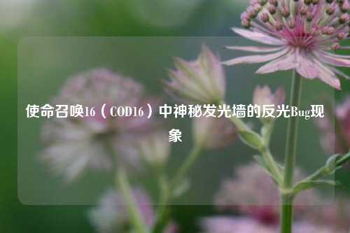 使命召唤16(COD16)中神秘发光墙的反光Bug现象