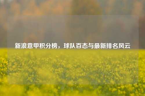 新浪意甲积分榜,球队百态与最新排名风云