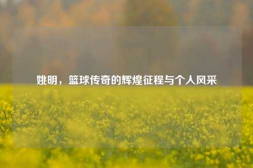 姚明，篮球传奇的辉煌征程与个人风采