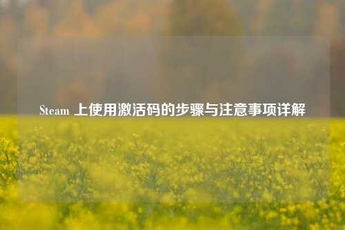 Steam 上使用激活码的步骤与注意事项详解
