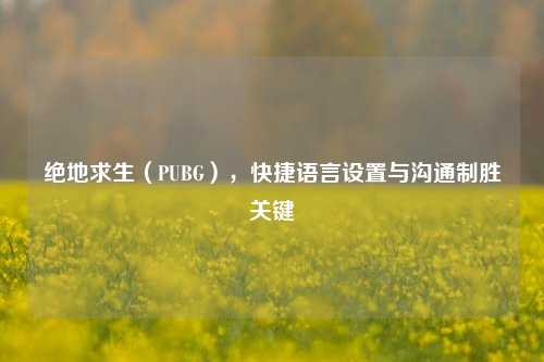 绝地求生(PUBG),快捷语言设置与沟通制胜关键