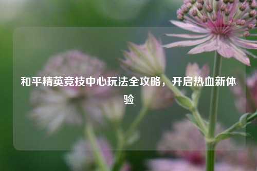 和平精英竞技中心玩法全攻略,开启热血新体验