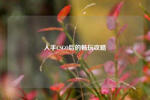 入手CSGO后的畅玩攻略