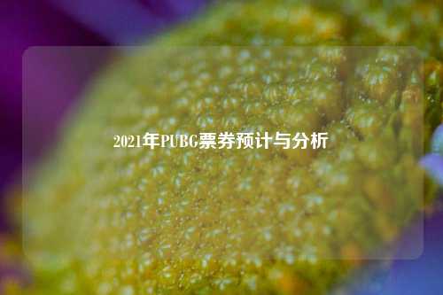 2021年PUBG票券预计与分析