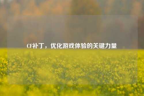 CF补丁，优化游戏体验的关键力量