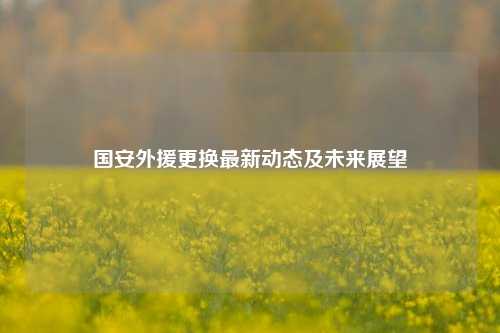 国安外援更换最新动态及未来展望