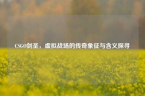 CSGO剑圣，虚拟战场的传奇象征与含义探寻