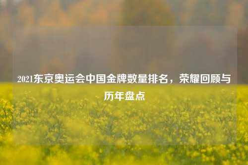 2021东京奥运会中国金牌数量排名,荣耀回顾与历年盘点