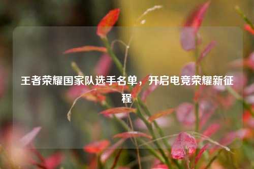 王者荣耀国家队选手名单,开启电竞荣耀新征程