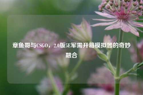 章鱼哥与CSGO,2.0版5E军需开箱模拟器的奇妙融合