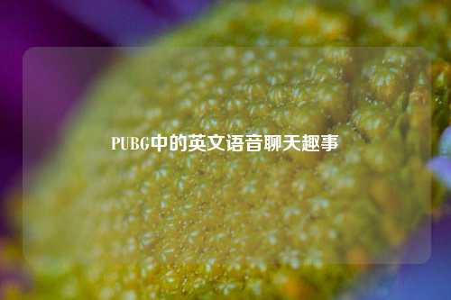PUBG中的英文语音聊天趣事
