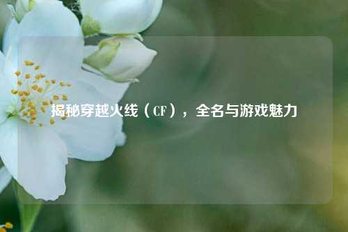揭秘穿越火线（CF），全名与游戏魅力