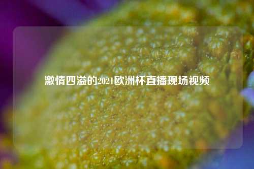 激情四溢的2021欧洲杯直播现场视频