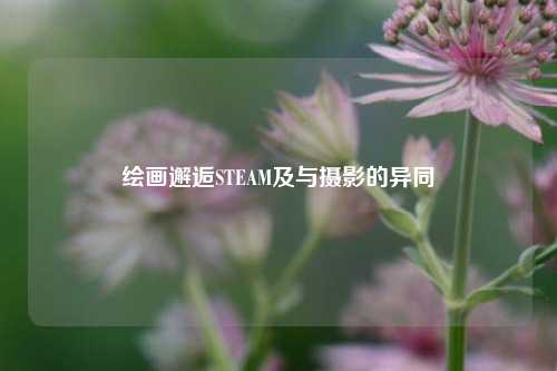 绘画邂逅STEAM及与摄影的异同