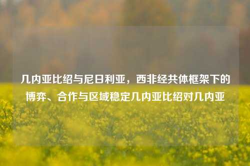 几内亚比绍与尼日利亚,西非经共体框架下的博弈、合作与区域稳定几内亚比绍对几内亚