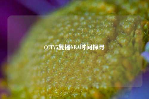 CCTV5复播NBA时间探寻