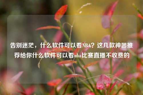 告别迷茫,什么软件可以看NBA?这几款神器推荐给你什么软件可以看nba比赛直播不收费的