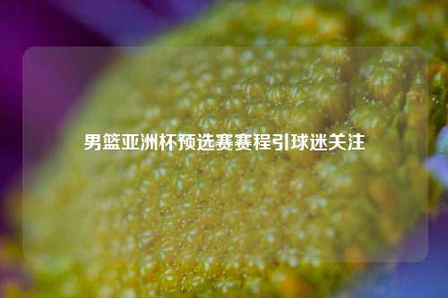 男篮亚洲杯预选赛赛程引球迷关注