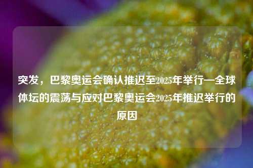 突发,巴黎奥运会确认推迟至2025年举行—全球体坛的震荡与应对巴黎奥运会2025年推迟举行的原因