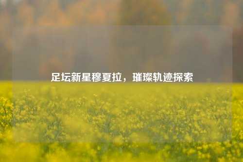 足坛新星穆夏拉,璀璨轨迹探索