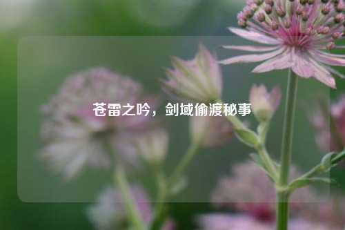 苍雷之吟,剑域偷渡秘事
