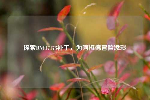探索DNF17173补丁，为阿拉德冒险添彩