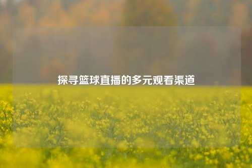 探寻篮球直播的多元观看渠道