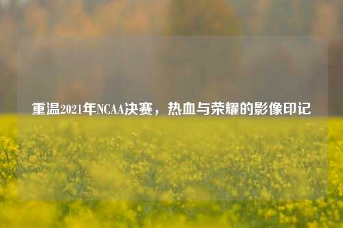 重温2021年NCAA决赛,热血与荣耀的影像印记