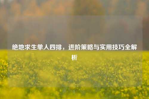 绝地求生单人四排,进阶策略与实用技巧全解析