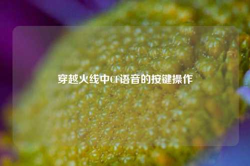 穿越火线中CF语音的按键操作