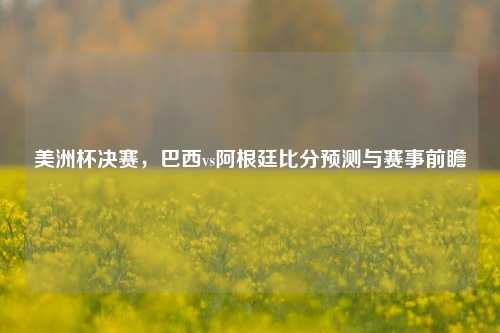 美洲杯决赛,巴西vs阿根廷比分预测与赛事前瞻