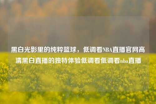 黑白光影里的纯粹篮球,低调看NBA直播官网高清黑白直播的独特体验低调看低调看nba直播