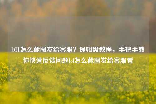 LOL怎么截图发给客服？保姆级教程，手把手教你快速反馈问题lol怎么截图发给客服看