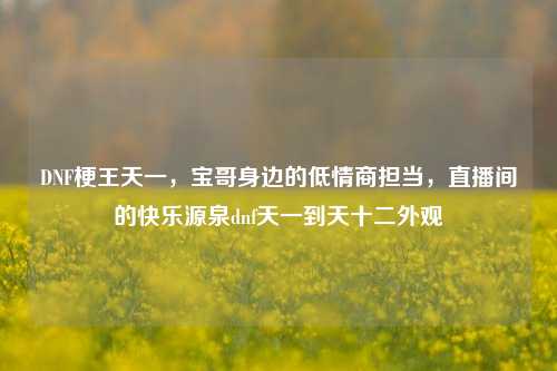 DNF梗王天一,宝哥身边的低情商担当,直播间的快乐源泉dnf天一到天十二外观