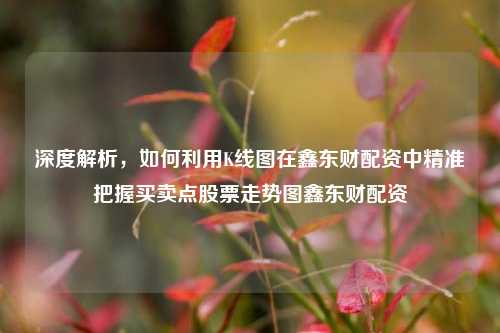 深度解析,如何利用K线图在鑫东财配资中精准把握买卖点股票走势图鑫东财配资