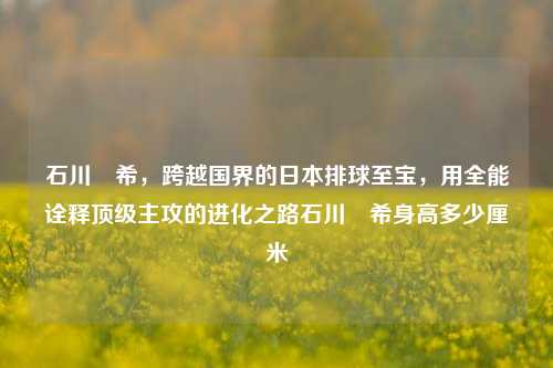 石川祐希，跨越国界的日本排球至宝，用全能诠释顶级主攻的进化之路石川祐希身高多少厘米