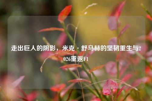 走出巨人的阴影,米克·舒马赫的坚韧重生与2026重返F1