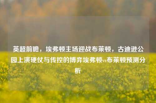 英超前瞻,埃弗顿主场迎战布莱顿,古迪逊公园上演硬仗与传控的博弈埃弗顿vs布莱顿预测分析