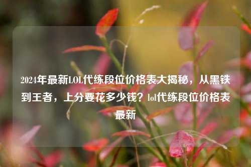 2024年最新LOL代练段位价格表大揭秘,从黑铁到王者,上分要花多少钱?lol代练段位价格表最新