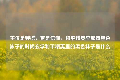 不仅是穿搭,更是信仰,和平精英里那双黑色袜子的时尚玄学和平精英里的黑色袜子是什么