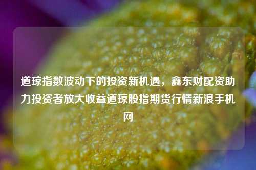 道琼指数波动下的投资新机遇,鑫东财配资助力投资者放大收益道琼股指期货行情新浪手机网