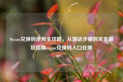 Steam兑换码使用全攻略,从激活步骤到常见避坑指南steam兑换码入口在哪