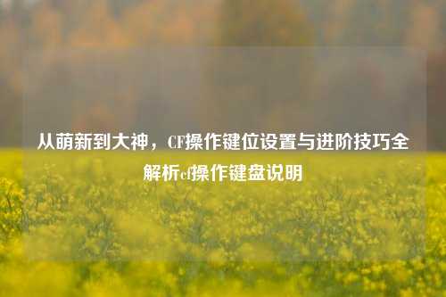 从萌新到大神，CF操作键位设置与进阶技巧全解析cf操作键盘说明