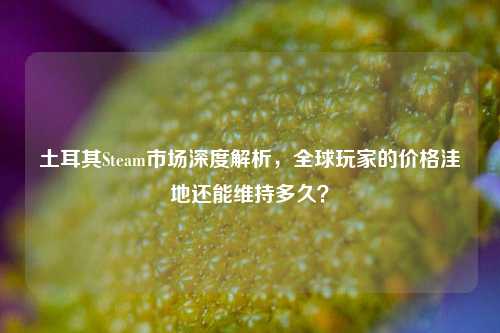 土耳其Steam市场深度解析,全球玩家的价格洼地还能维持多久?